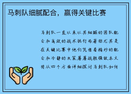 马刺队细腻配合，赢得关键比赛