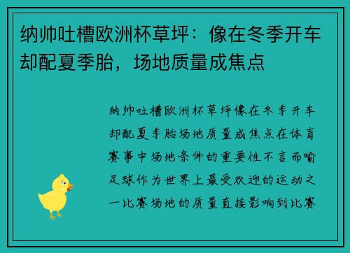 纳帅吐槽欧洲杯草坪：像在冬季开车却配夏季胎，场地质量成焦点