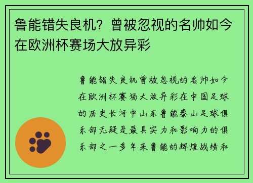 鲁能错失良机？曾被忽视的名帅如今在欧洲杯赛场大放异彩